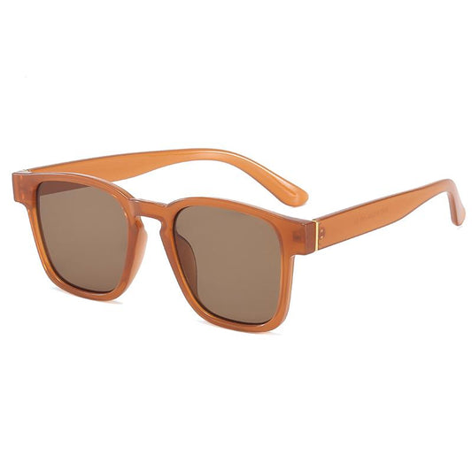 Brown Retro inspired sunglasses for men