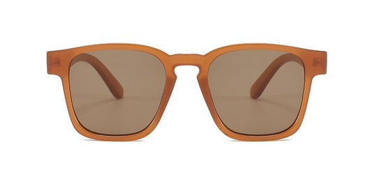 Brown Retro inspired sunglasses for men
