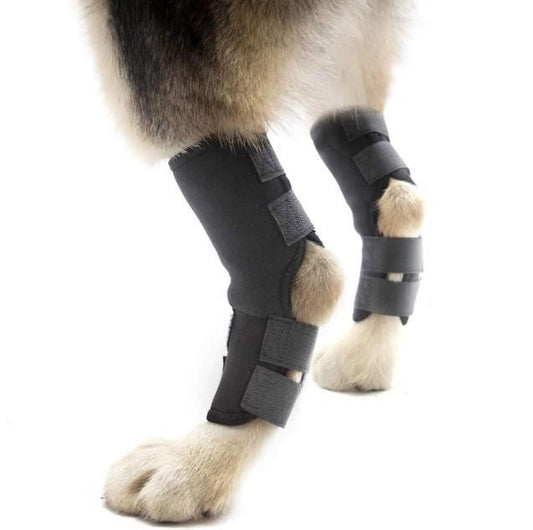 DOG HAIR PROTECTION in neoprene for injured rehabilitation dog leg protection