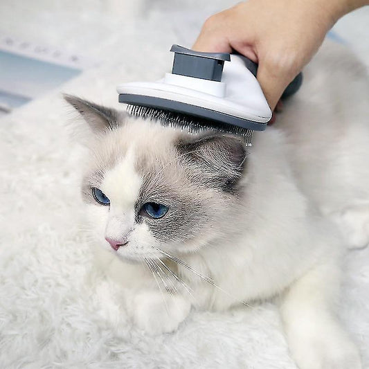 Päls borste kam för husdjur katt hund grooming enkel borrtagning anti-glid