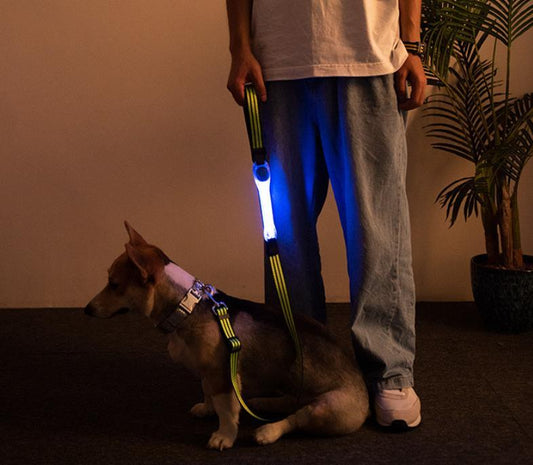 Rem med LED ljus nattlampa för koppel till hund vinter multifunktion