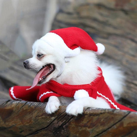 Tomteklädsel till liten hund mantel och luva röd vit jul