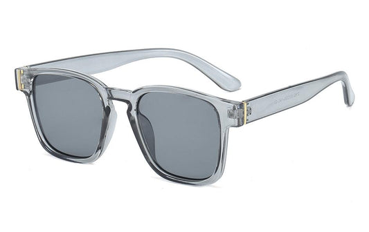 Gray Retro inspired sunglasses for men